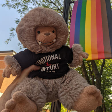 Bowie! My Bo Bigfoot Jellycat in front of a rainbow pride flag with black and brown stripes. He's wearing a shirt that says "emotional support bear".